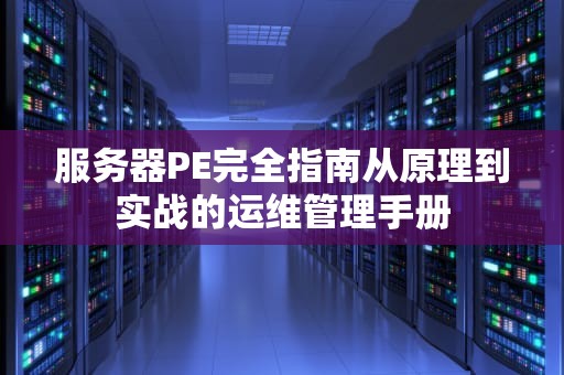 服务器PE完全指南从原理到实战的运维管理手册