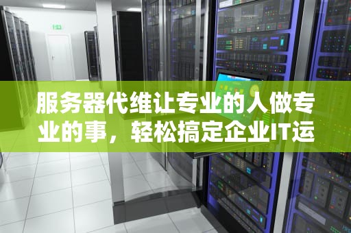 服务器代维让专业的人做专业的事，轻松搞定企业IT运维