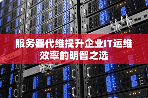 服务器代维提升企业IT运维效率的明智之选