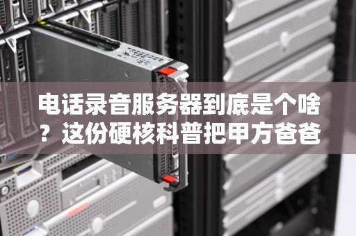 电话录音服务器到底是个啥？这份硬核科普把甲方爸爸都看跪了