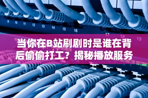 当你在B站刷剧时是谁在背后偷偷打工？揭秘播放服务器的摸鱼与内卷