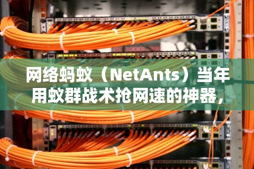 网络蚂蚁（NetAnts）当年用蚁群战术抢网速的神器，为啥现在连00后都没见过？
