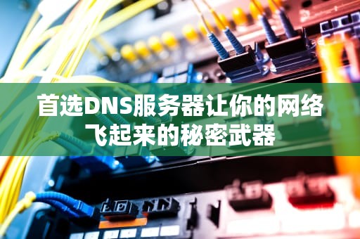 首选DNS服务器让你的网络飞起来的秘密武器