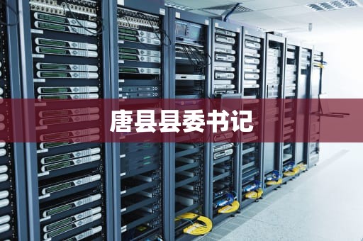 唐县县委书记