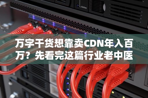 万字干货想靠卖CDN年入百万？先看完这篇行业老中医的避坑指南！