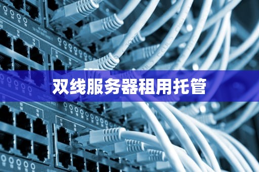 双线服务器租用托管