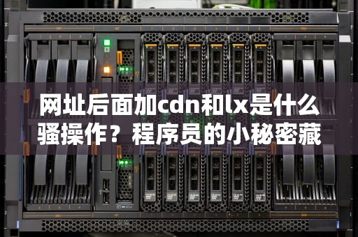 网址后面加cdn和lx是什么骚操作？程序员的小秘密藏不住了！