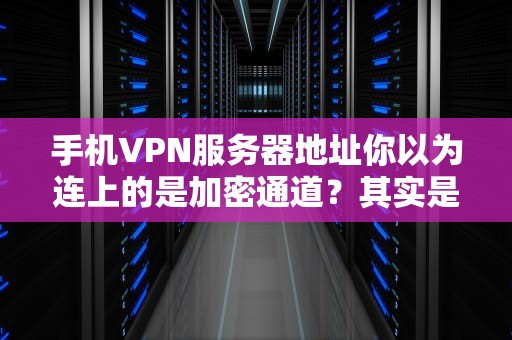 手机VPN服务器地址你以为连上的是加密通道？其实是地理课代表在帮你作弊！