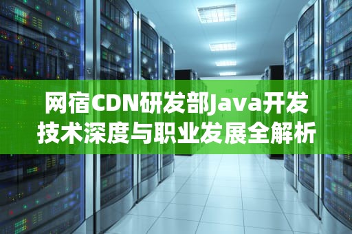 网宿CDN研发部Java开发技术深度与职业发展全解析