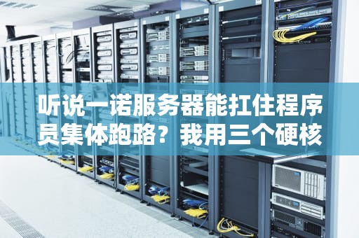 听说一诺服务器能扛住程序员集体跑路？我用三个硬核故事揭开真相