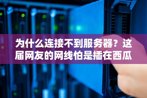 为什么连接不到服务器？这届网友的网线怕是插在西瓜上了吧！