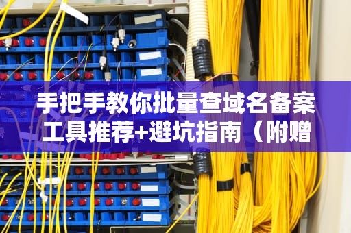 手把手教你批量查域名备案工具推荐+避坑指南（附赠摸鱼小技巧）