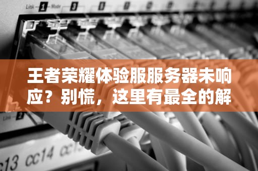 王者荣耀体验服服务器未响应？别慌，这里有最全的解决方案！
