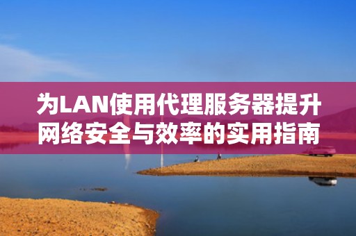为LAN使用代理服务器提升网络安全与效率的实用指南