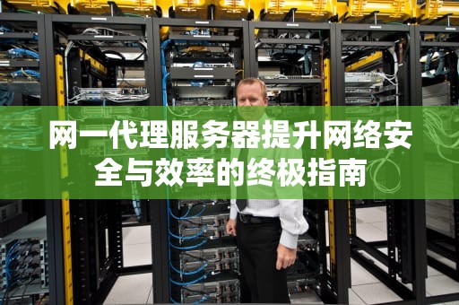 网一代理服务器提升网络安全与效率的终极指南