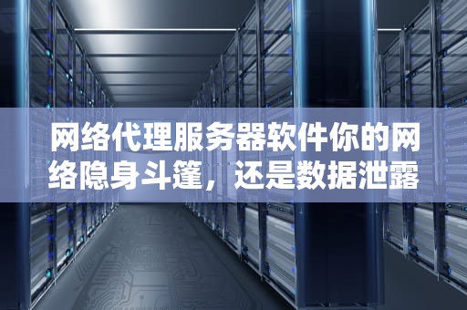 网络代理服务器软件你的网络隐身斗篷，还是数据泄露的“后门”？