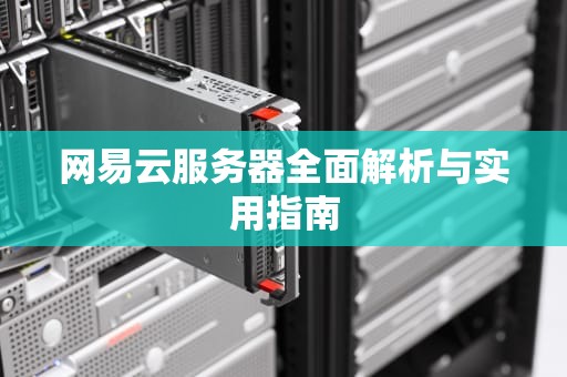 网易云服务器全面解析与实用指南