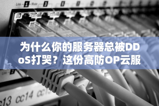 为什么你的服务器总被DDoS打哭？这份高防OP云服务器自救指南请收好