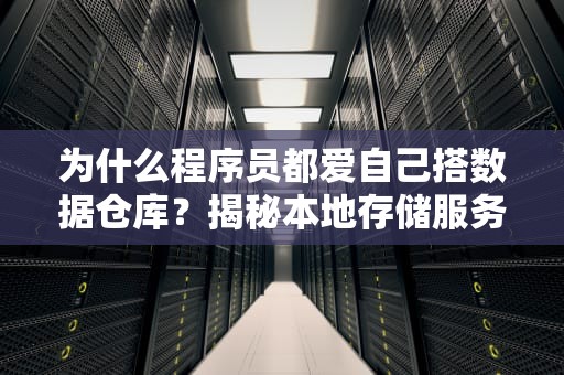 为什么程序员都爱自己搭数据仓库？揭秘本地存储服务器的5大真香现场！