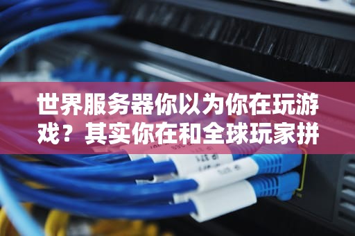 世界服务器你以为你在玩游戏？其实你在和全球玩家拼桌！