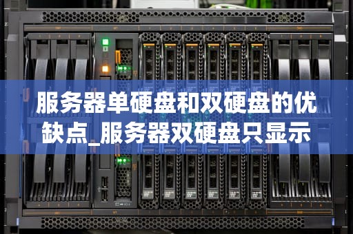 服务器单硬盘和双硬盘的优缺点_服务器双硬盘只显示一个_服务器单硬盘与双硬盘的优缺点分析