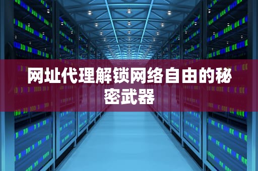 网址代理解锁网络自由的秘密武器