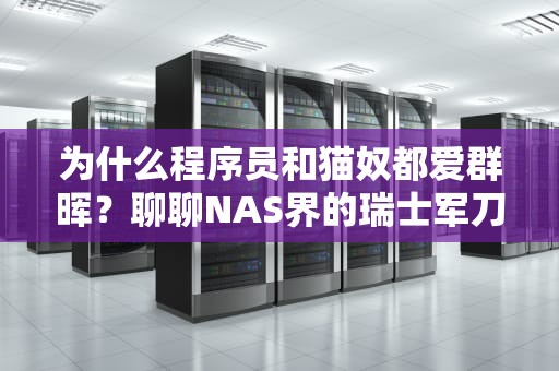 为什么程序员和猫奴都爱群晖？聊聊NAS界的瑞士军刀生存指南