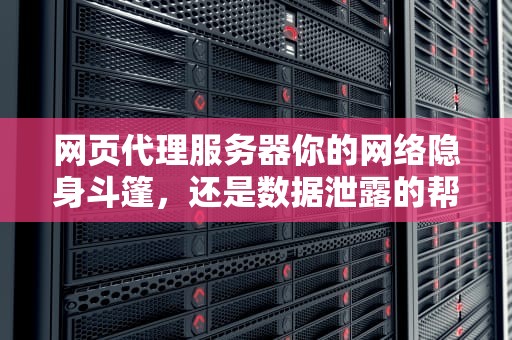 网页代理服务器你的网络隐身斗篷，还是数据泄露的帮凶？