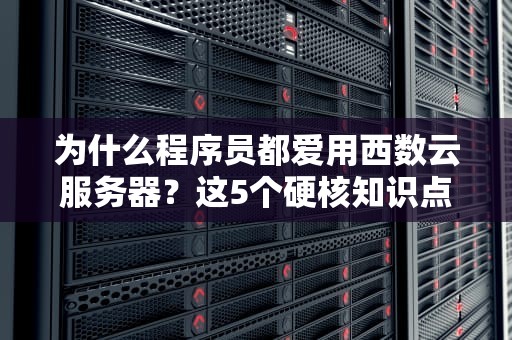 为什么程序员都爱用西数云服务器？这5个硬核知识点让你秒懂
