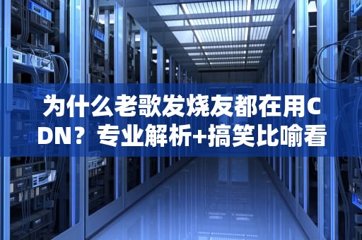 为什么老歌发烧友都在用CDN？专业解析+搞笑比喻看完秒懂！