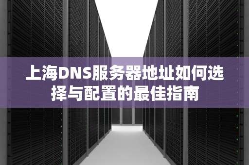 上海DNS服务器地址如何选择与配置的最佳指南
