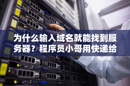 为什么输入域名就能找到服务器？程序员小哥用快递给你讲明白！