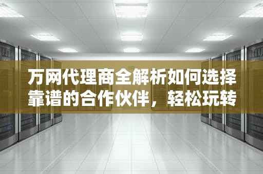 万网代理商全解析如何选择靠谱的合作伙伴，轻松玩转域名与服务器