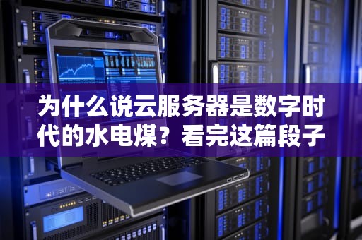 为什么说云服务器是数字时代的水电煤？看完这篇段子手版科普我悟了