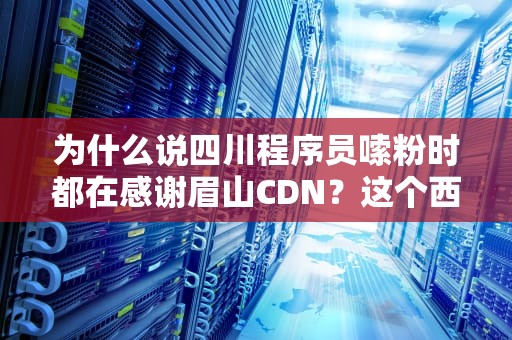 为什么说四川程序员嗦粉时都在感谢眉山CDN？这个西南小城藏着什么互联网黑科技