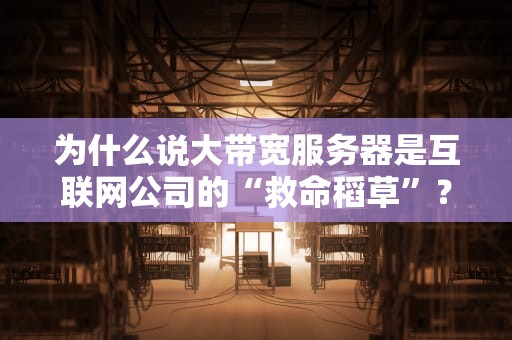 为什么说大带宽服务器是互联网公司的“救命稻草”？看完这5个真实案例我悟了