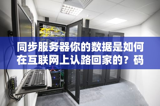 同步服务器你的数据是如何在互联网上认路回家的？码农用外卖段子给你讲明白