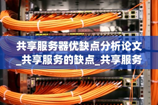 共享服务器优缺点分析论文_共享服务的缺点_共享服务器的优缺点分析