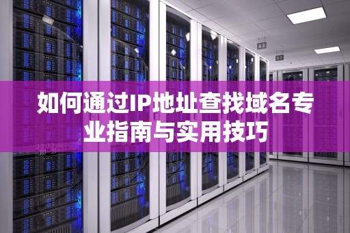 如何通过IP地址查找域名专业指南与实用技巧