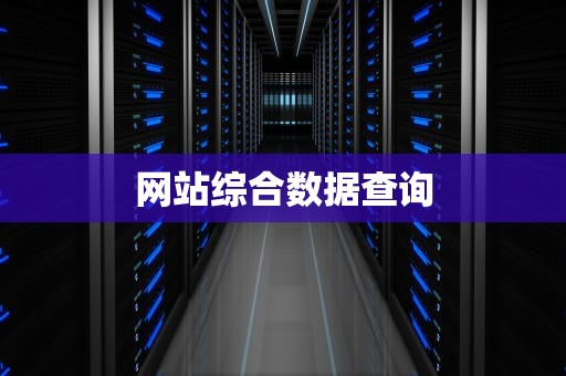 网站综合数据查询
