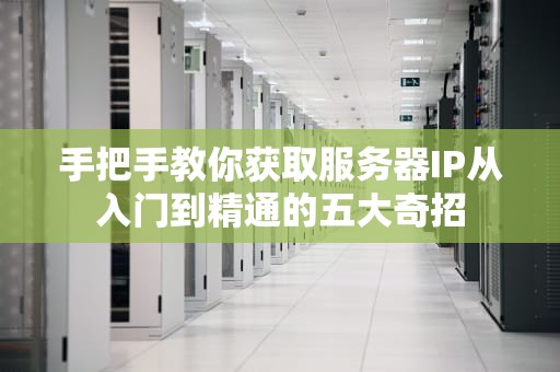 手把手教你获取服务器IP从入门到精通的五大奇招