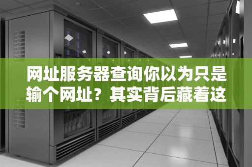 网址服务器查询你以为只是输个网址？其实背后藏着这些秘密！
