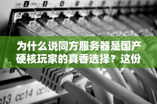 为什么说同方服务器是国产硬核玩家的真香选择？这份避坑指南请收好