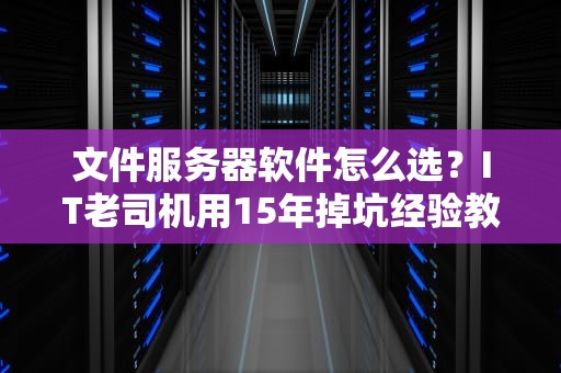 文件服务器软件怎么选？IT老司机用15年掉坑经验教你避雷