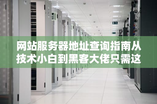网站服务器地址查询指南从技术小白到黑客大佬只需这三步！