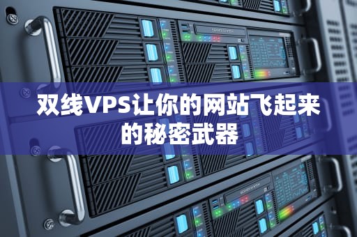 双线VPS让你的网站飞起来的秘密武器