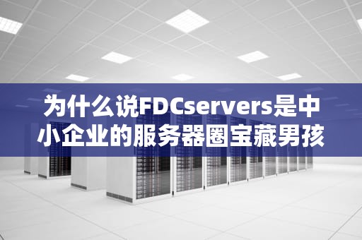 为什么说FDCservers是中小企业的服务器圈宝藏男孩？这3个真实案例让你笑出腹肌