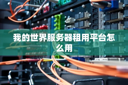 我的世界服务器租用平台怎么用