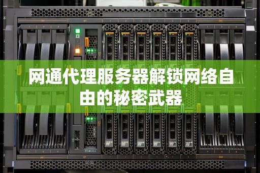 网通代理服务器解锁网络自由的秘密武器