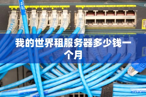 我的世界租服务器多少钱一个月